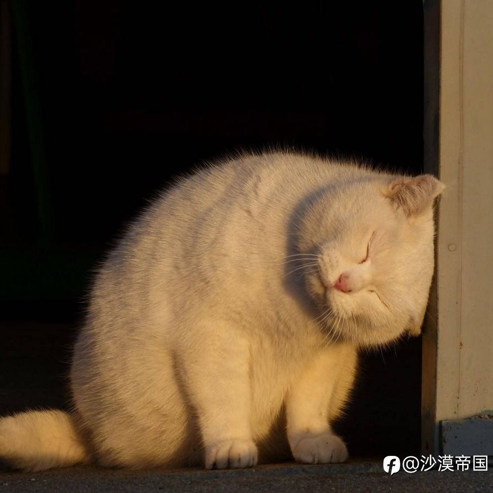 一度人满为患,镇村公交今备受冷落?