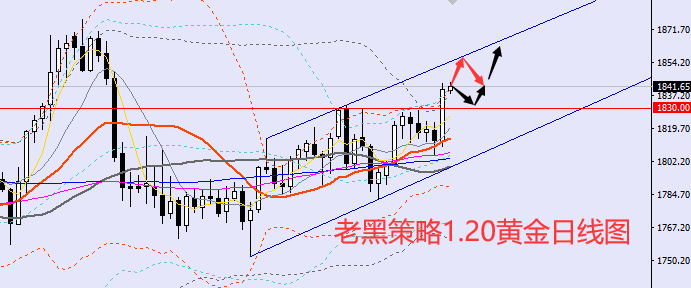 老黑策略:1.20黄金分析策略