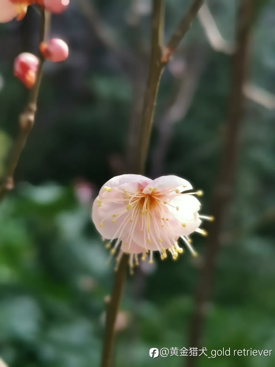 feed image