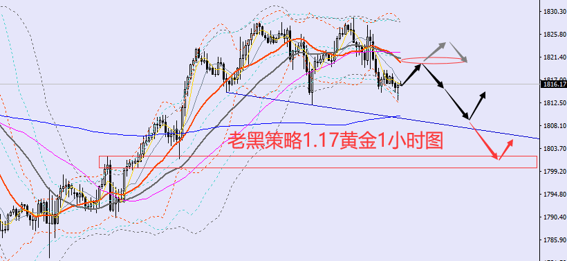 老黑策略:1.17黄金分析策略