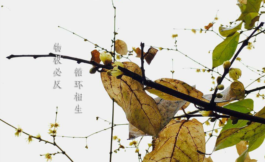 鲍威尔“打太极”，通胀数据将促进金价上涨