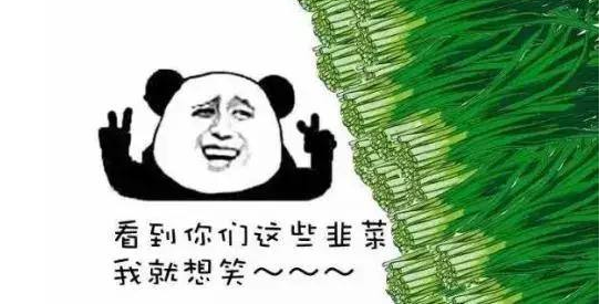 feed-image-0