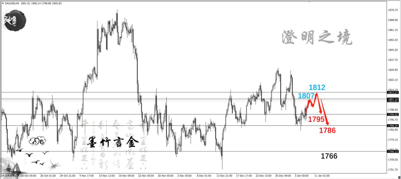 feed-image-2
