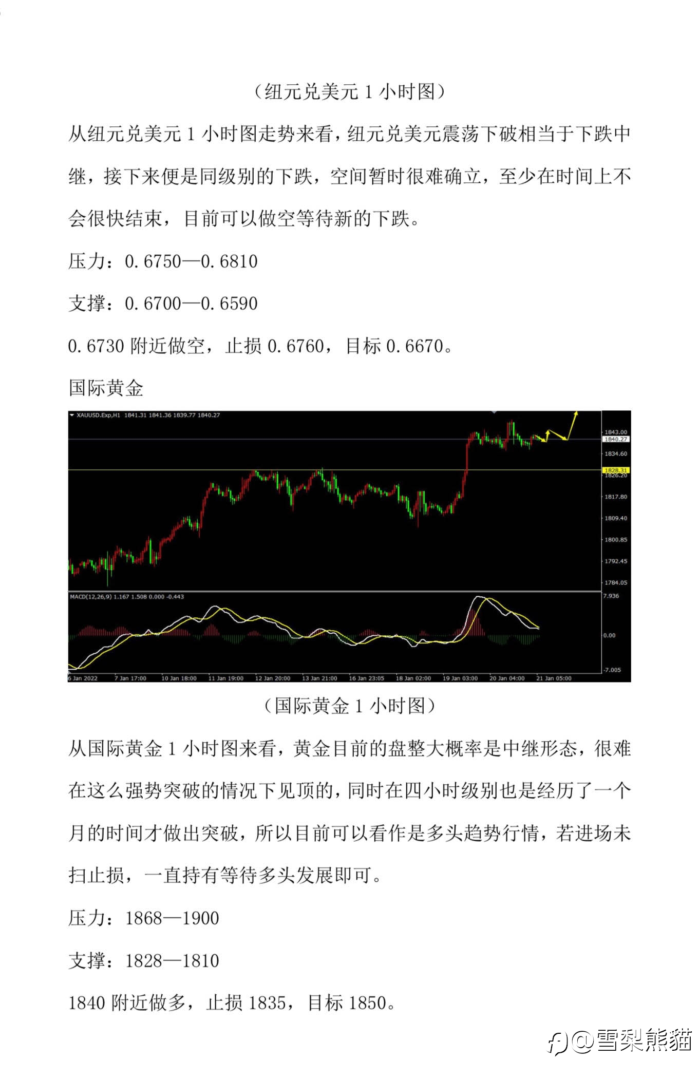 21/1 拓利汇评