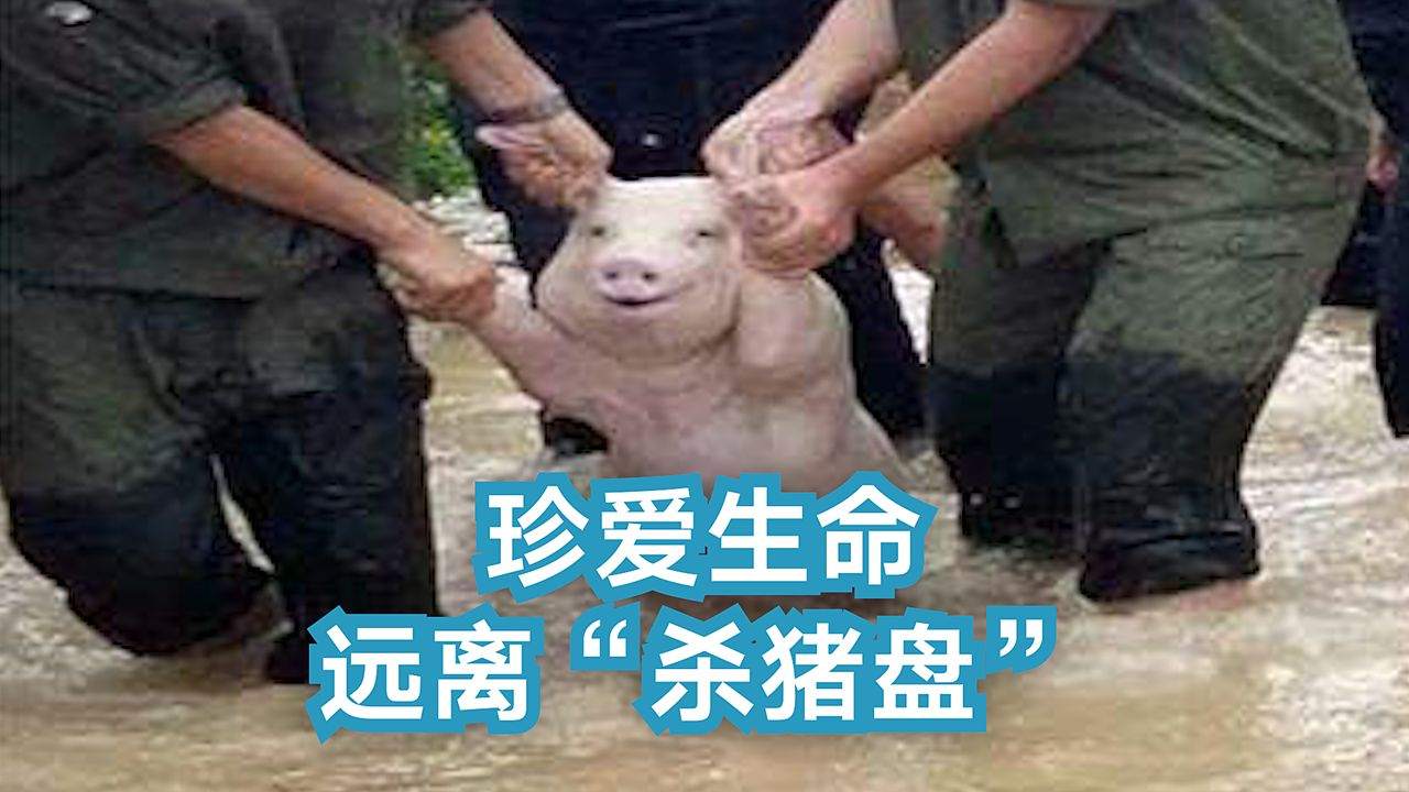 feed image