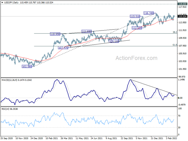 USD/JPY Daily Outlook