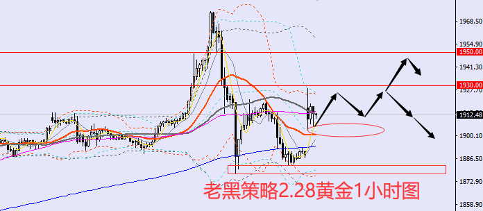 老黑策略：2.28黄金分析策略