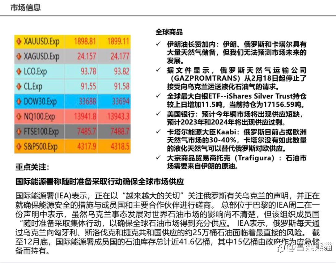 23/2拓利日报