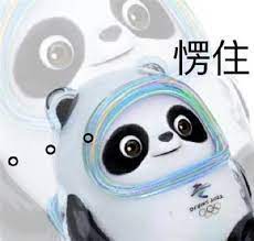 Evergreen Forex,VCM等黑平台不给出金!