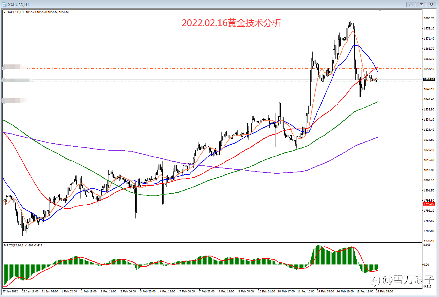 2022.02.16黄金技术分析