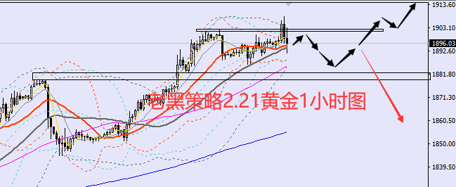 老黑策略:2.21黄金分析策略