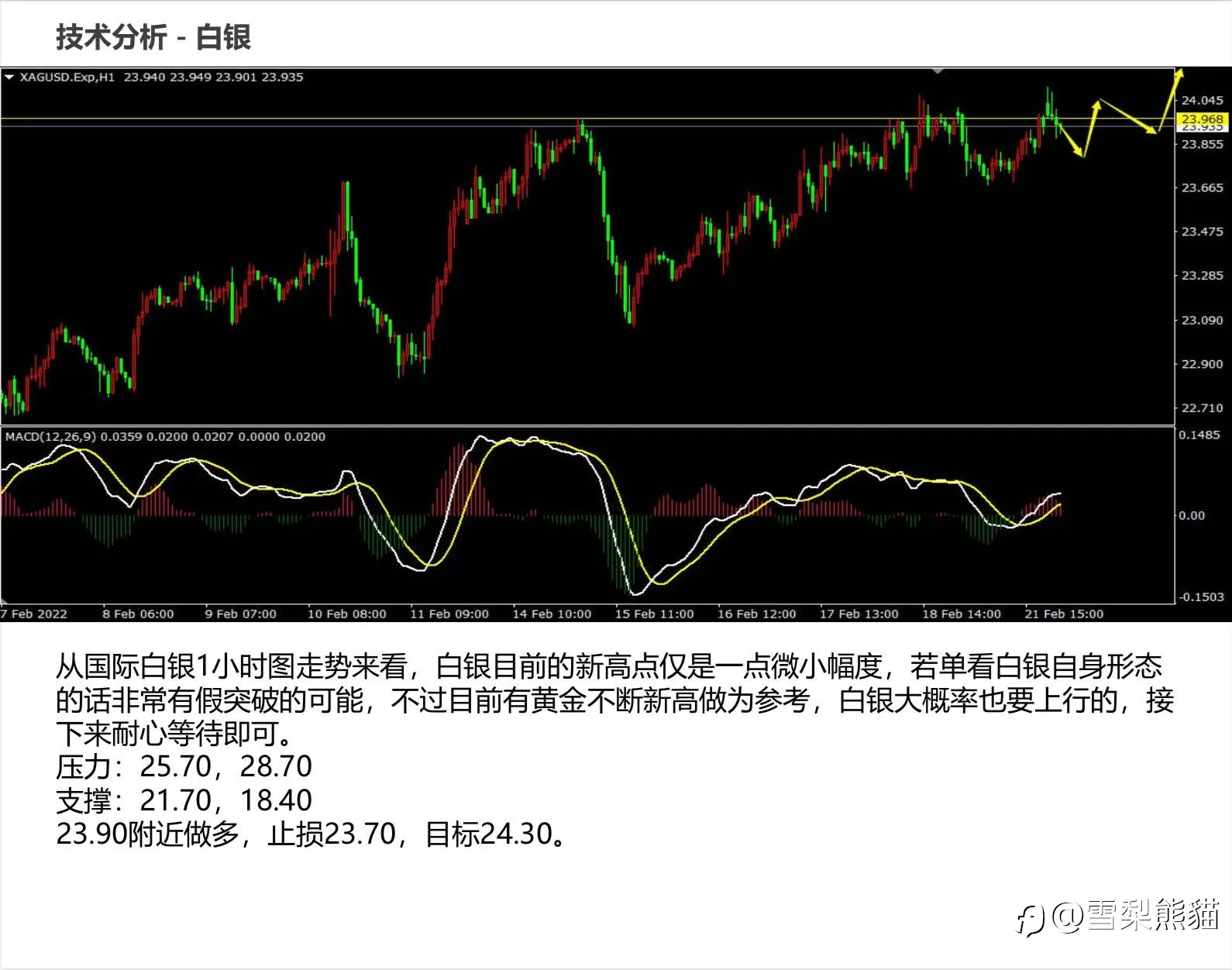 22/2拓利日报