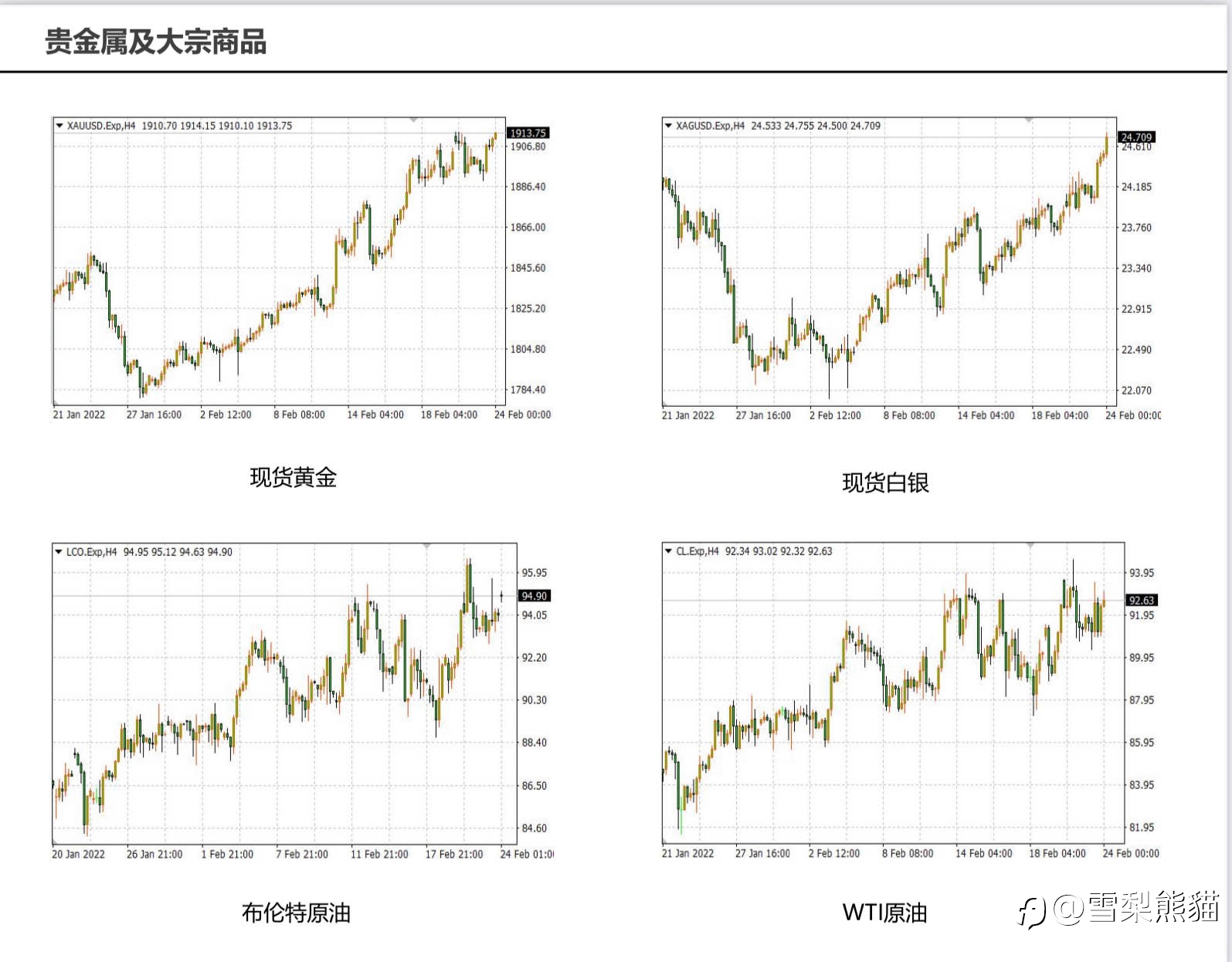 24/2拓利日报