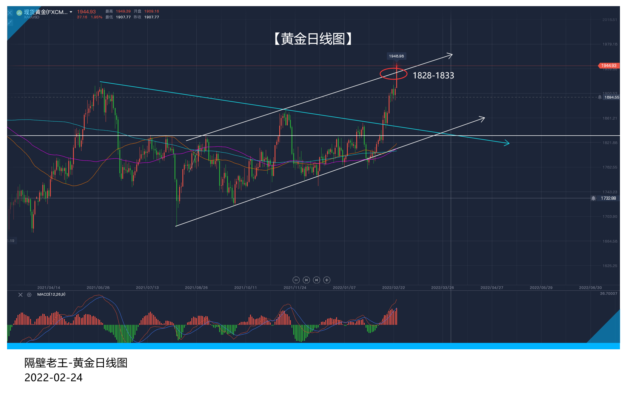 黄金最终选择冲破枷锁 但枷锁却落在了我们身上!