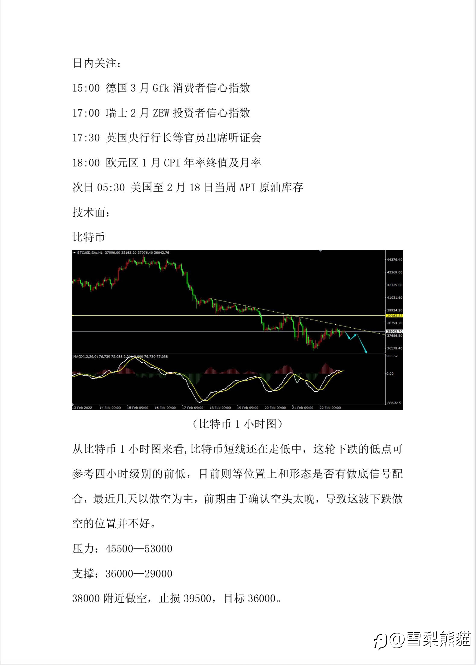 23/2拓利汇评