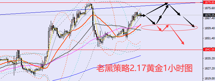 老黑策略:2.17黄金分析策略