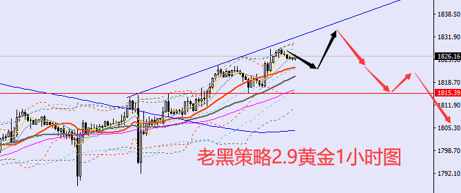 老黑策略：2.9黄金分析策略