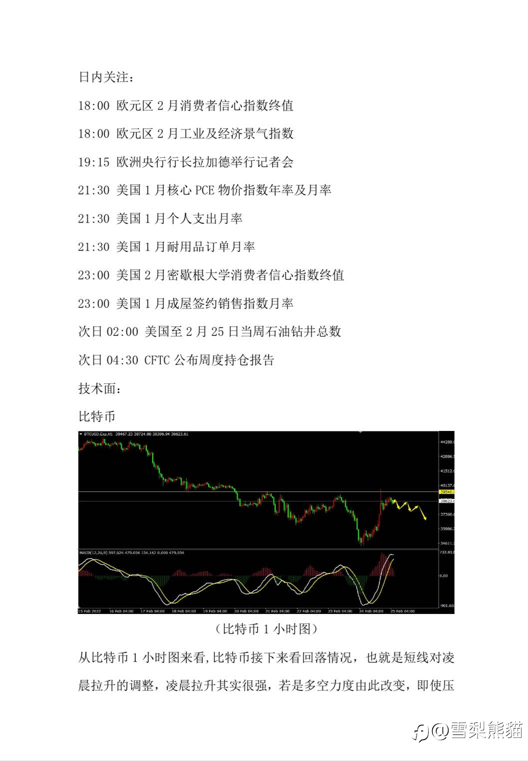 25/2拓利汇评