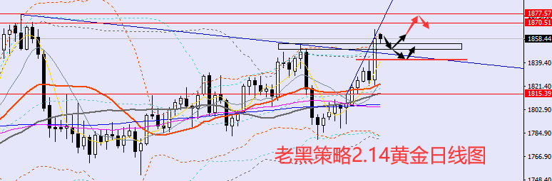 老黑策略：2.14黄金分析策略