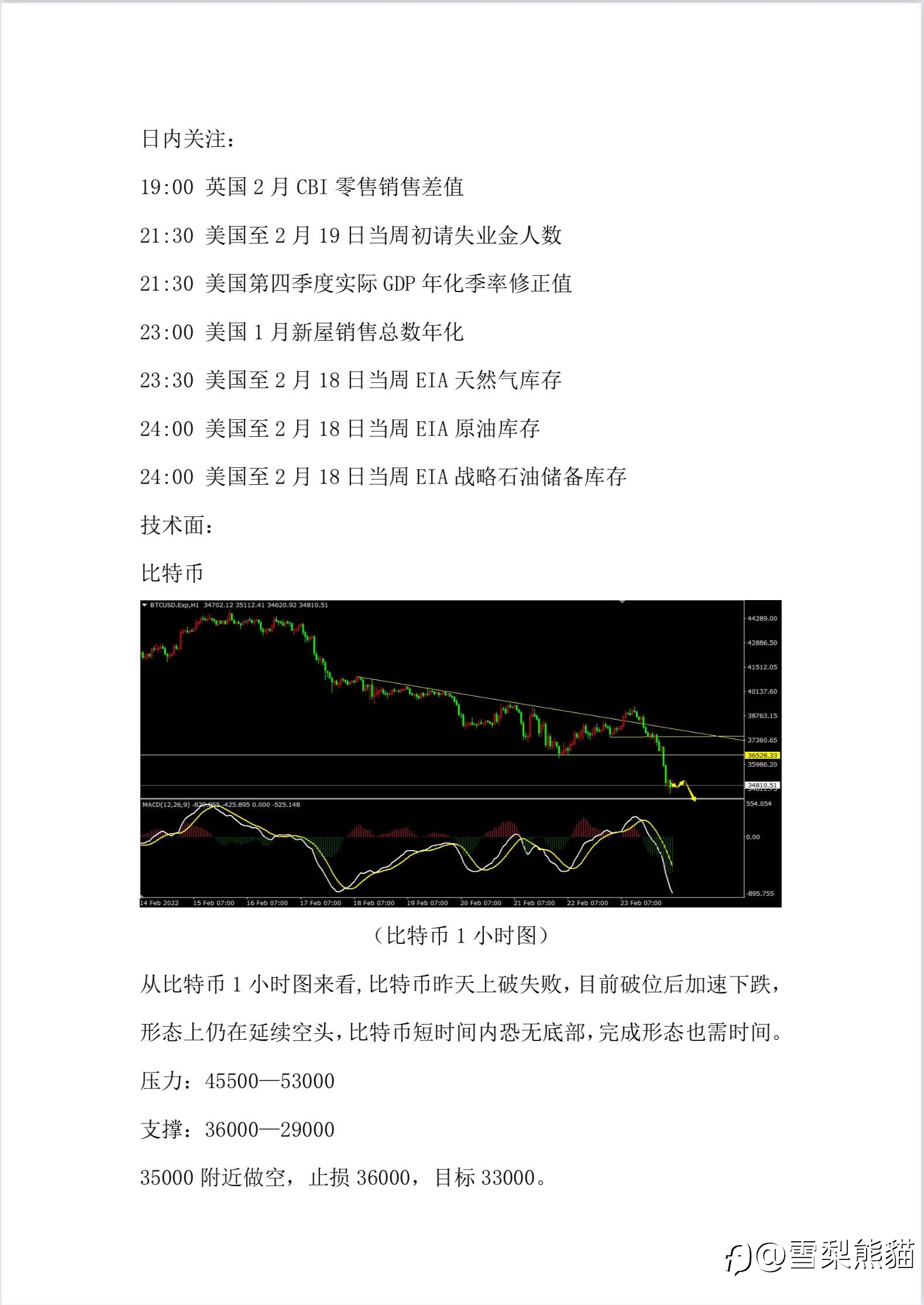 24/2拓利汇评