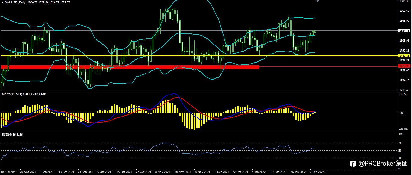 PRCBroker：20220209 今日汇评