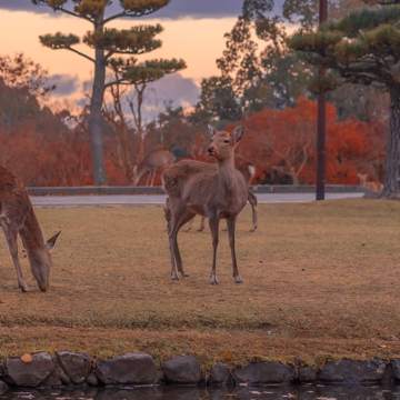单周帮助订阅者盈利17.9万美元,但他却被社区禁言了!