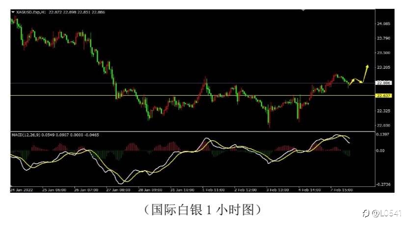 美加 黃金 白銀 原油 分析🪙