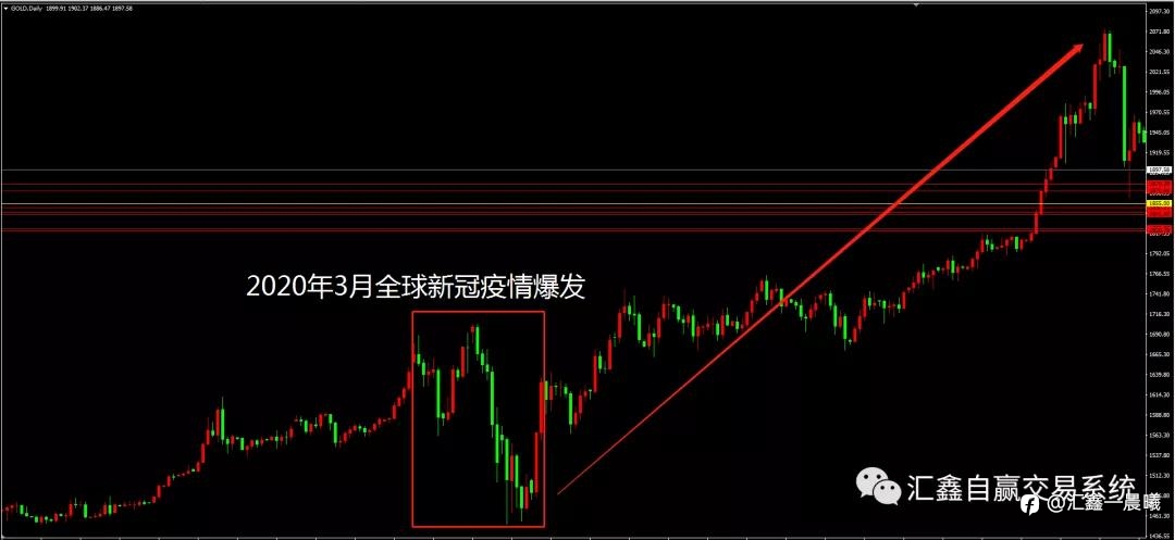 《汇鑫》一周回顾及展望