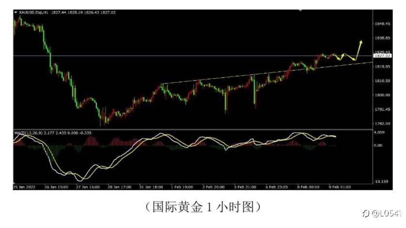 比特币 欧美 美瑞 黄金 分析✅