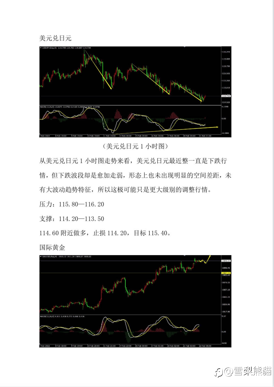 22/2拓利汇评