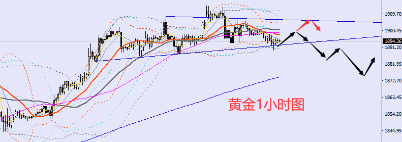 老黑策略：2.23晚盘外汇、黄金、原油分析策略