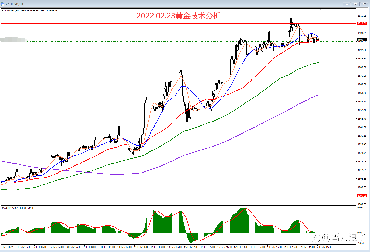 2022.02.23黄金技术分析