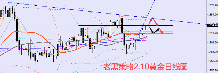 老黑策略：2.10黄金分析策略