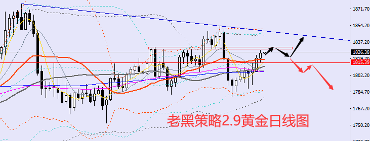 老黑策略：2.9黄金分析策略