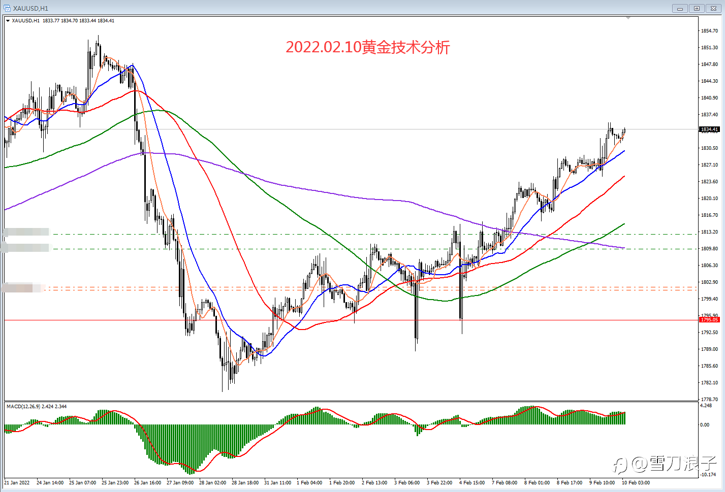 2022.02.10黄金技术分析