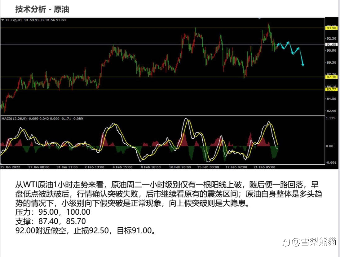 23/2拓利日报