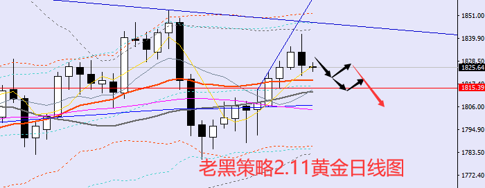 老黑策略:2.11黄金分析策略