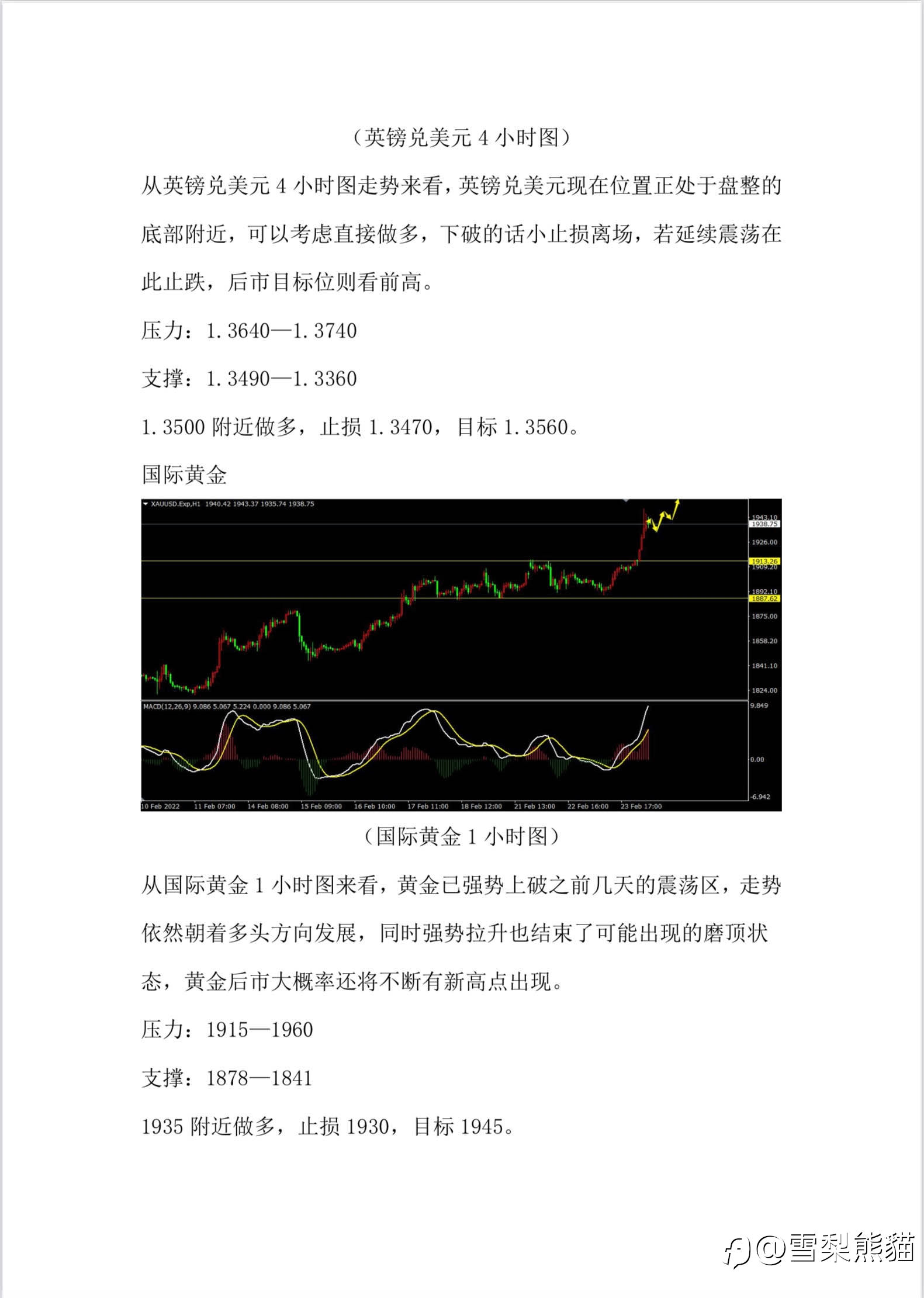 24/2拓利汇评