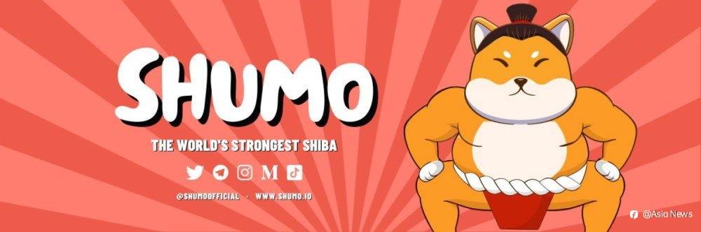 Shumo币发行后24小时总市值达四千万美元,持有人可决定未来发展路线