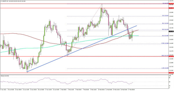 USD/JPY Starts Corrective Decrease, 114.20 Is The Key