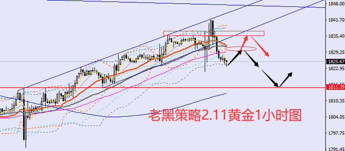 老黑策略:2.11黄金分析策略