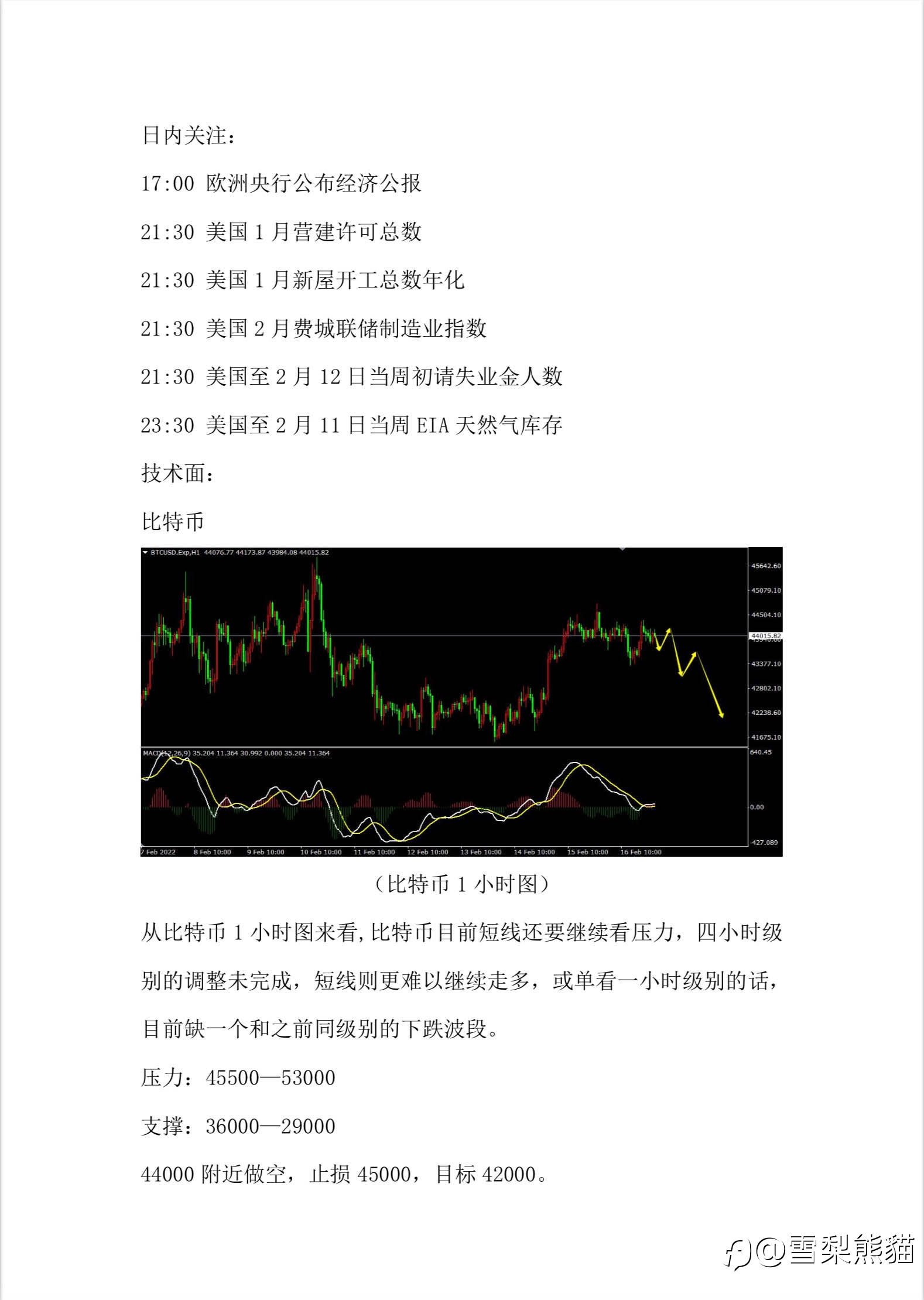 17/2拓利汇评