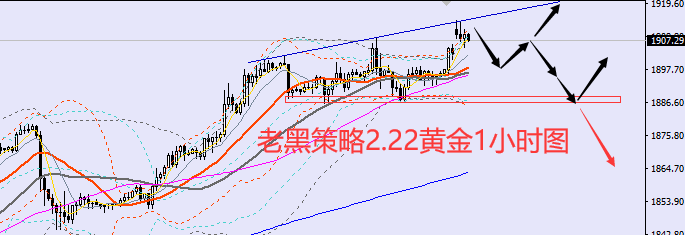 老黑策略：2.22黄金分析策略