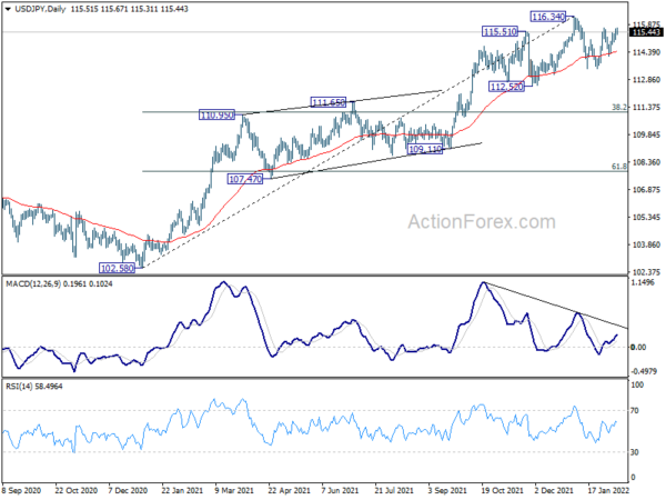 USD/JPY Daily Outlook