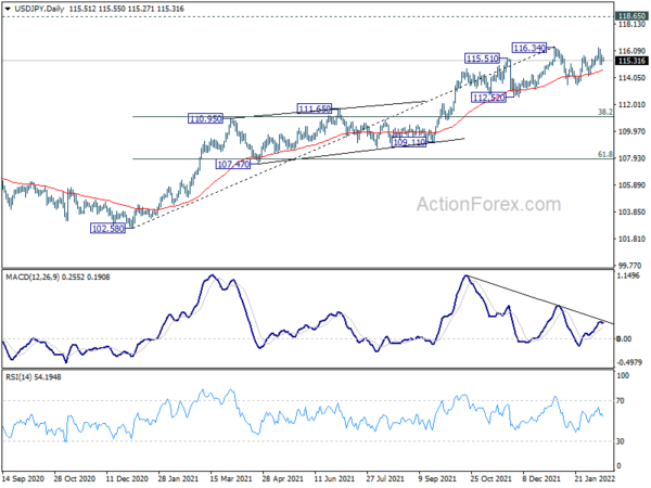 USD/JPY Daily Outlook