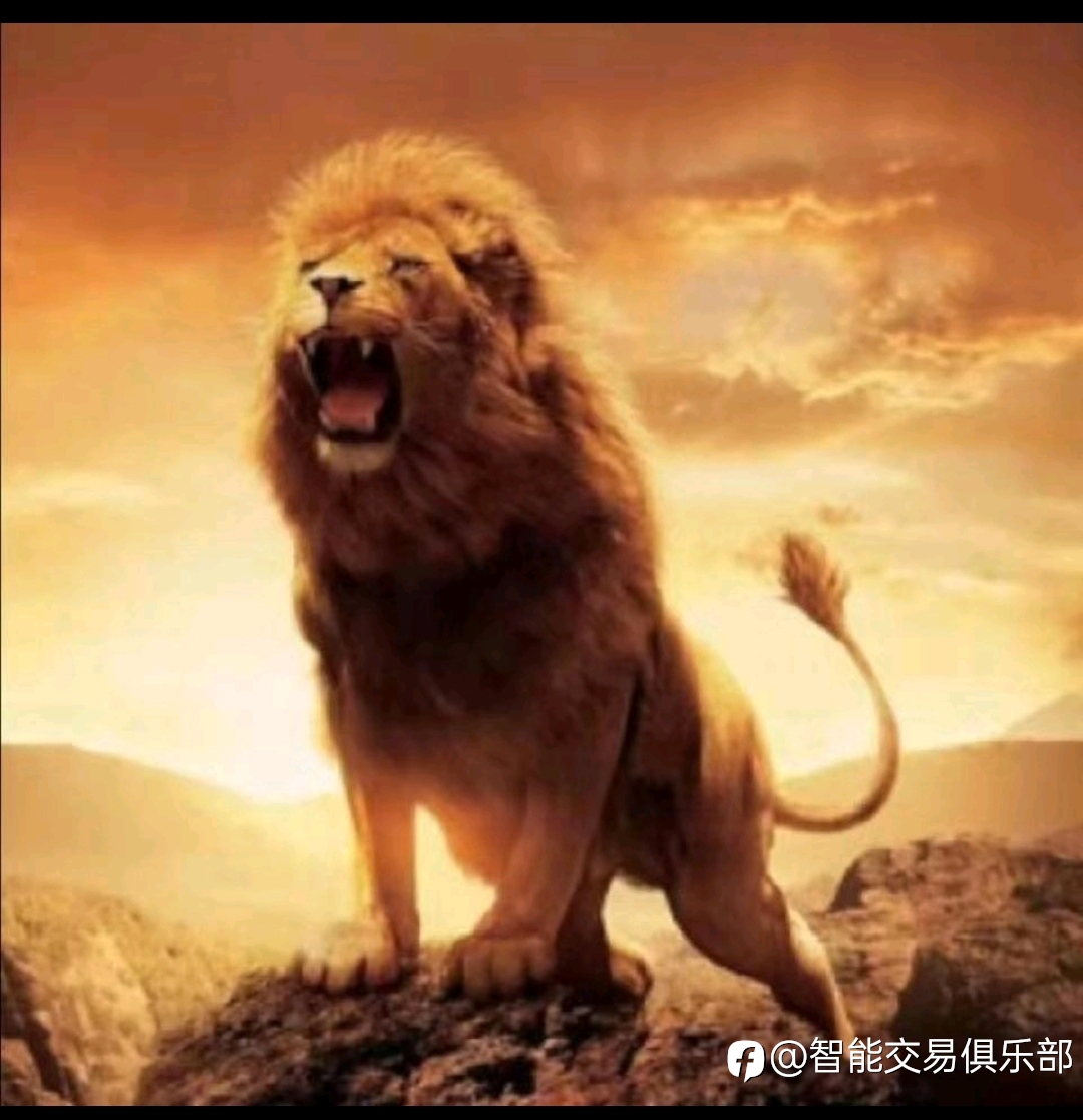 是有点王者归来的味道!哎，抱歉。我错了。