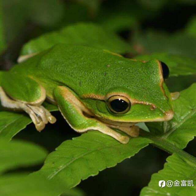 打卡