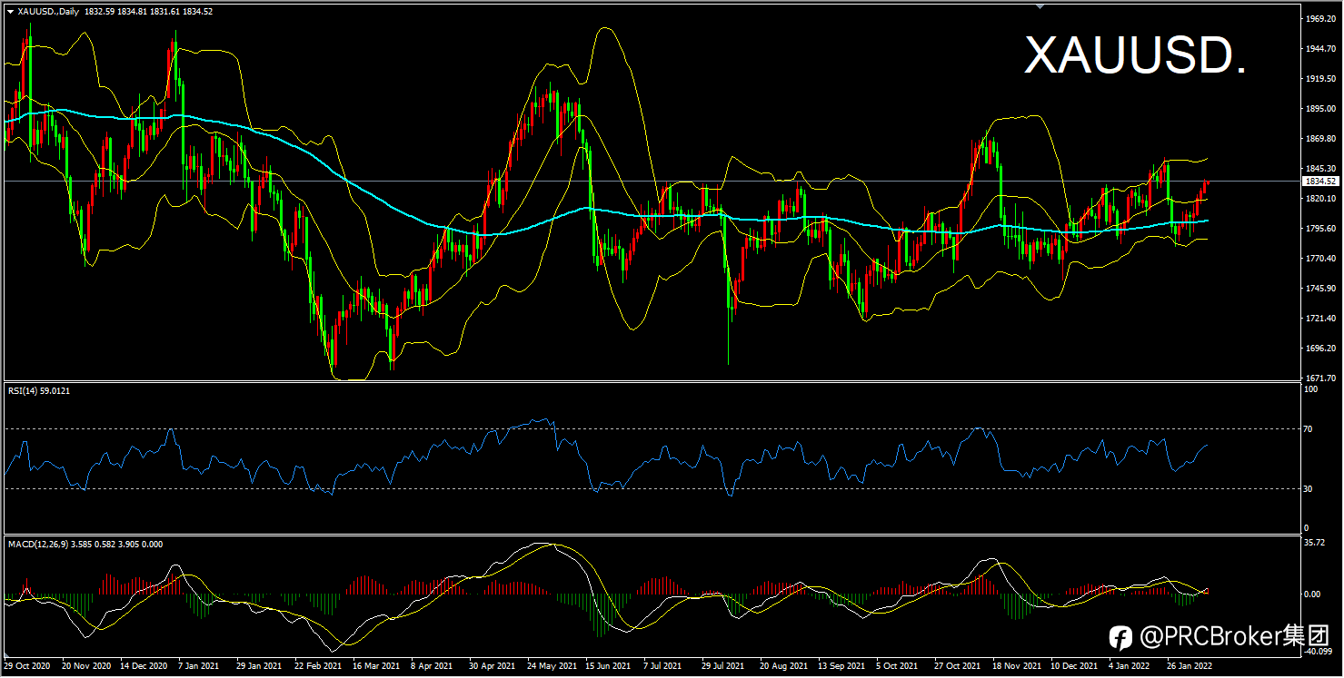 PRCBroker:20220210 今日汇评
