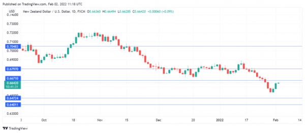 NZ Dollar Pauses after Mixed Jobs Data