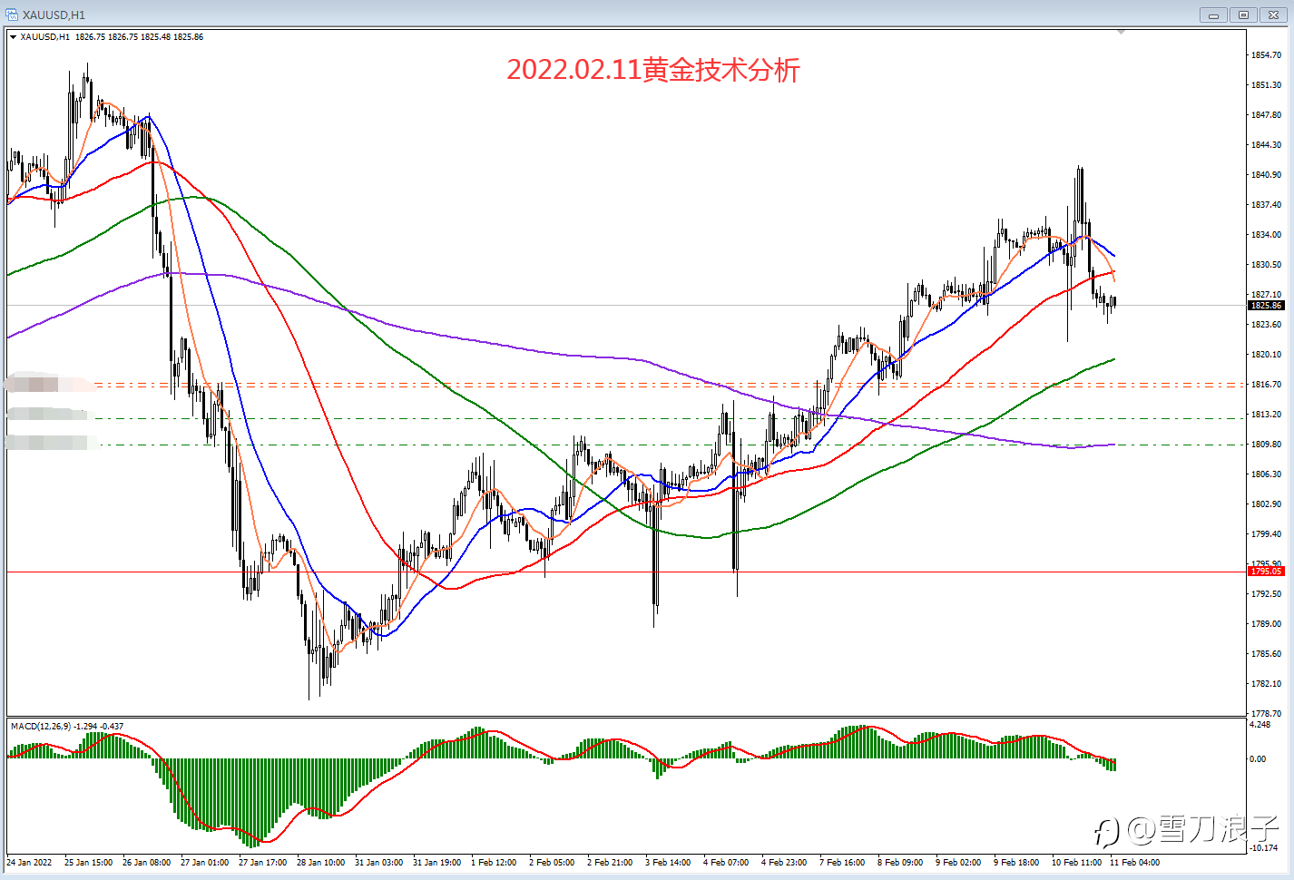 2022.02.11黄金技术分析